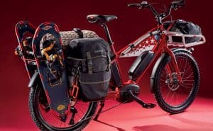 A Cargo E-Bike Can Replace Your Car 44